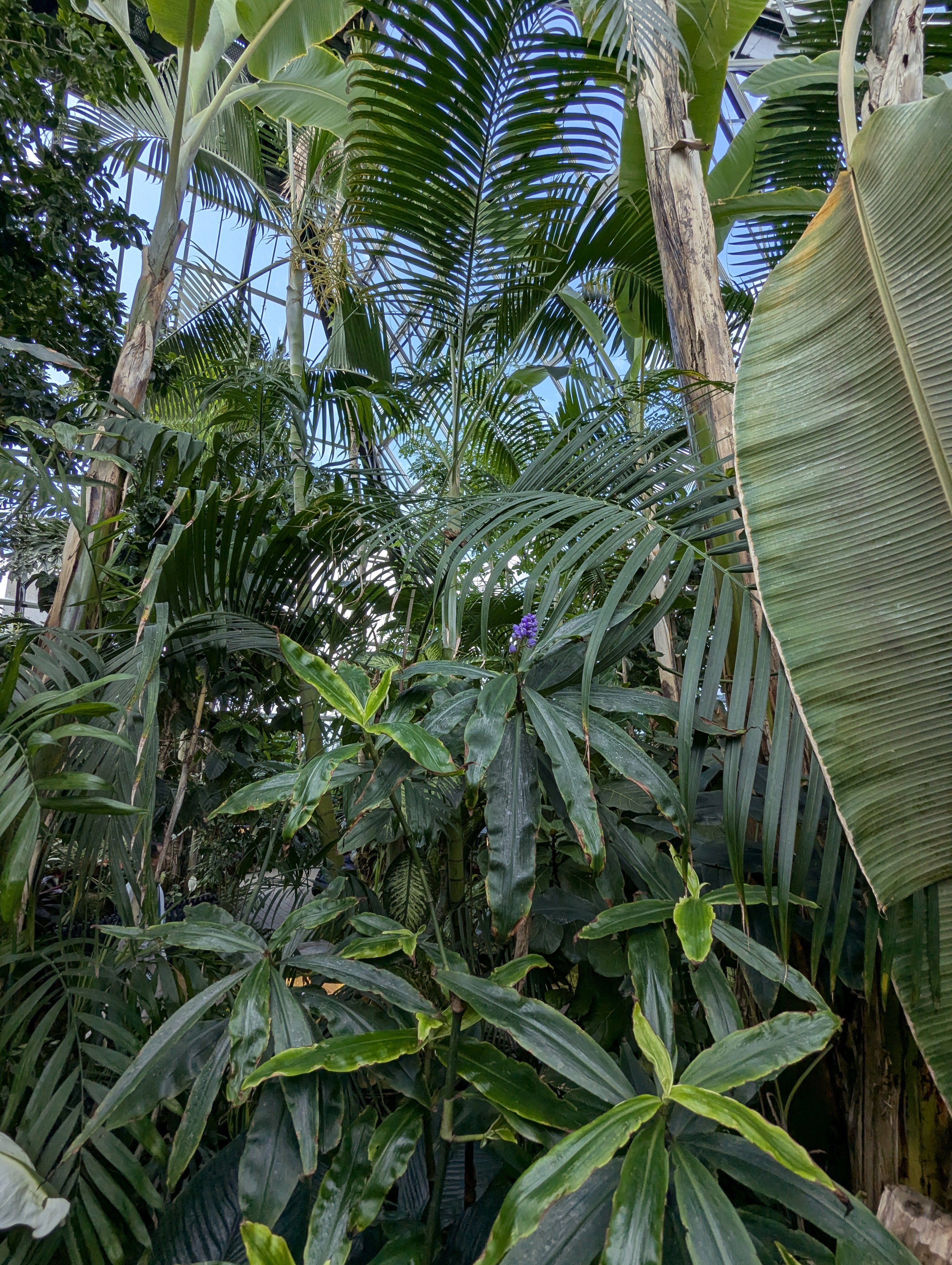 Birthday Trip to Canada, Edmonton, Pyramids, Muttart Observatory